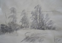 /album/kresba/p1170867-640x450-jpg/